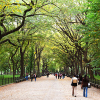 The Day I Took My Ukulele to Central Park