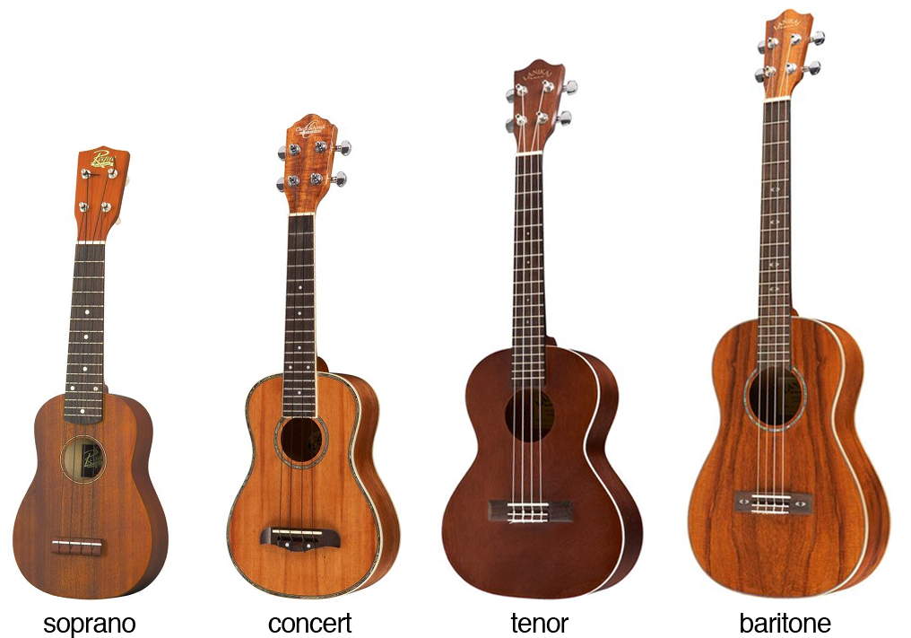 The Four Different Ukulele Sizes or Types The Four Different Ukulele Sizes or Types